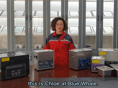 Blue Whale Tisch-Ultraschallreiniger